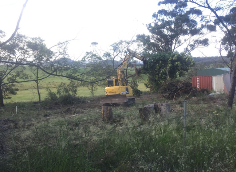 Land Clearing Hobart & Surrounds Williams Excavations